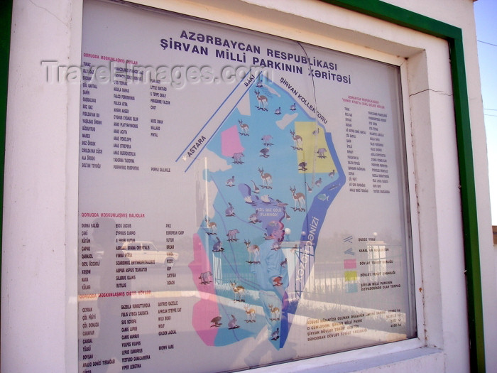 azer258: Azerbaijan - Salyan rayon: Shirvan National Reserve / Shirvan Nature Reserve / Shirvan National Park / Sirvan dövlat qorugu - map - poster (photo by F.MacLachlan) - (c) Travel-Images.com - Stock Photography agency - Image Bank