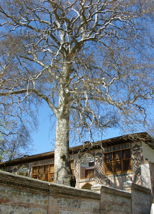 azer448: Sheki / Shaki - Azerbaijan: Sheki Khans' palace - built in 1797 by Muhammed Hasan Khan - view from outside the wall - large tree - photo by N.Mahmudova - (c) Travel-Images.com - Stock Photography agency - Image Bank