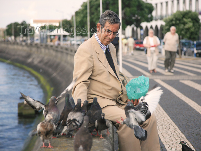 azores181: Azores / Açores - São Miguel - Ponta Delgada: pigeons' feeder - waterfront avenue / milho para os pombos - photo by A.Stepanenko - (c) Travel-Images.com - Stock Photography agency - Image Bank