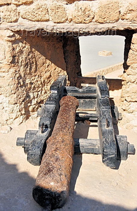 bahrain5: Arad, Muharraq Island, Bahrain: Arad Fort - Portuguese cannon - such pieces of artillery protected the territory conquerred by António Correia, which de facto defined modern Bahrain's borders - photo by M.Torres - (c) Travel-Images.com - Stock Photography agency - Image Bank