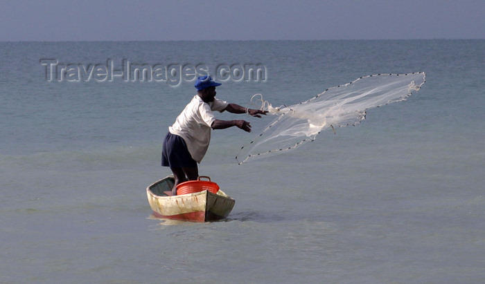 belize33: Belize - Seine Bight village: Garinagu / Garifuna man fishing - fisherman throwing a net from a canoe - pescador - photo by Charles Palacio - (c) Travel-Images.com - Stock Photography agency - Image Bank
