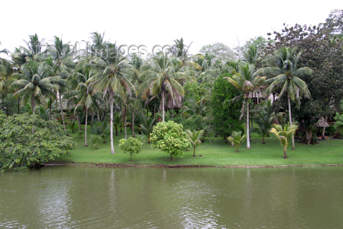 belize34: Belize - Benque Viejo del Carmen, Cayo District: Mopan River view - photo by C.Palacio - (c) Travel-Images.com - Stock Photography agency - Image Bank