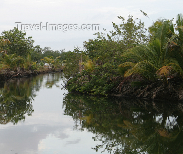 belize36: Belize - Seine Bight : lagoon - Placencia Peninsula in the Stann Creek District of southern Belize - photo by Charles Palacio - (c) Travel-Images.com - Stock Photography agency - Image Bank