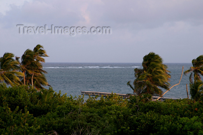 belize46: Belize - San Pedro - Ambergris Caye, Belize District: Caribbean breeze - photo by C.Palacio - (c) Travel-Images.com - Stock Photography agency - Image Bank