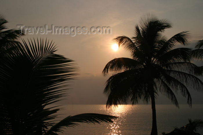 belize51: Belize - Seine Bight: postcard morning - palms and sunrise - photo by Charles Palacio - (c) Travel-Images.com - Stock Photography agency - Image Bank