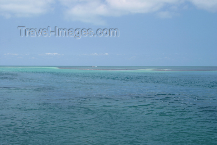 belize61: Belize / Belice- Seine Bight: tropical water - Caribbean sea - photo by Charles Palacio - (c) Travel-Images.com - Stock Photography agency - Image Bank