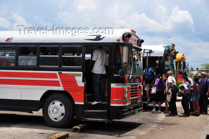 belize67: Belmopan, Cayo, Belize: bus terminal - commuters return to Belize city - Blue Bird buses - public transportation - photo by M.Torres - (c) Travel-Images.com - Stock Photography agency - Image Bank