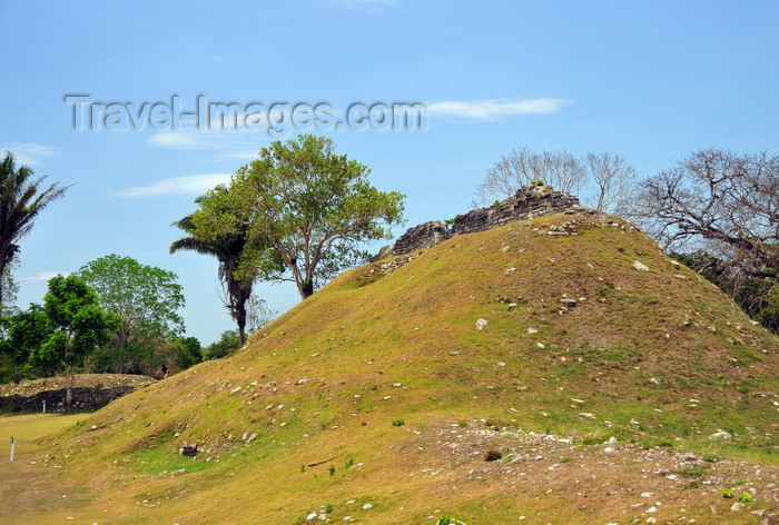 belize81: Altun Ha Maya city, Belize District, Belize: temple A-5, largely un-excavated - Plaza A - photo by M.Torres - (c) Travel-Images.com - Stock Photography agency - Image Bank