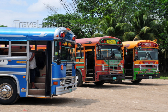 belize87: San Ignacio, Cayo, Belize: transportation to Spanish Lookout, a Mennonite town - Blue Bird buses - photo by M.Torres - (c) Travel-Images.com - Stock Photography agency - Image Bank