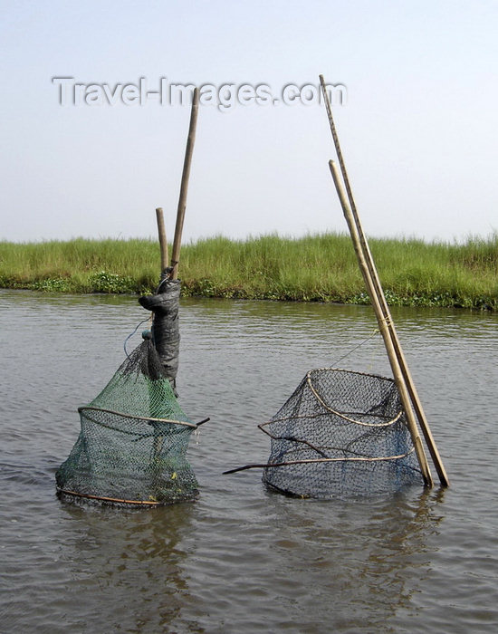 benin19: Lake Nokoué, Benin: fish traps - photo by G.Frysinger - (c) Travel-Images.com - Stock Photography agency - Image Bank