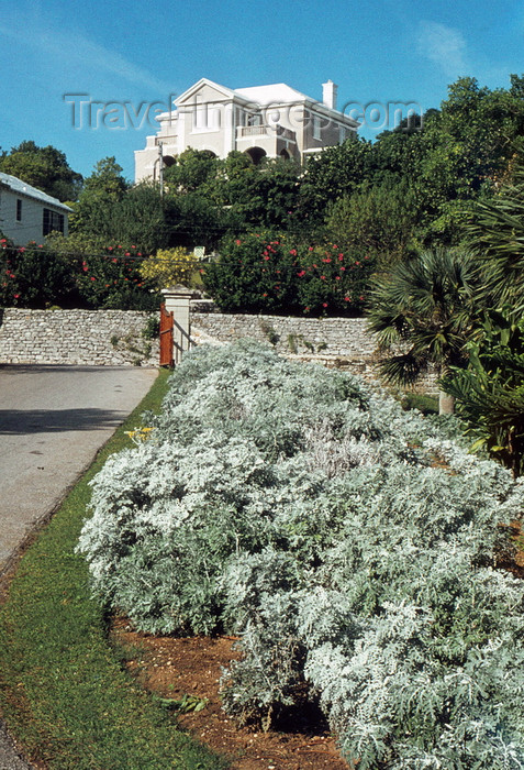 bermuda4: Bermuda - Hamilton: white roof - in Bermuda roofs are often limed pure water collection from the rains - photo by G.Frysinger - (c) Travel-Images.com - Stock Photography agency - Image Bank