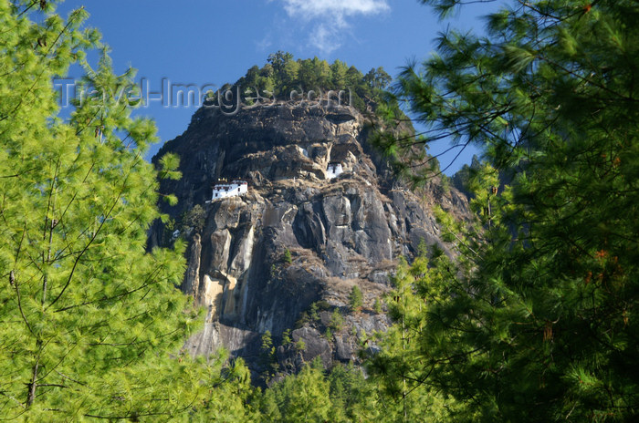 bhutan120: Bhutan - Paro dzongkhag - Taktshang Goemba (Tiger's nest), near Paro - Asian Meteora - photo by A.Ferrari - (c) Travel-Images.com - Stock Photography agency - Image Bank