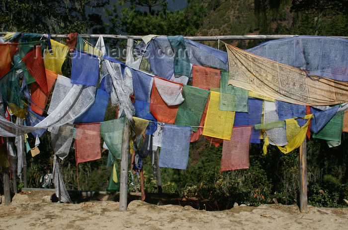 bhutan124: Bhutan - Paro dzongkhag - lines of prayer flags, on the way to Taktshang Goemba - photo by A.Ferrari - (c) Travel-Images.com - Stock Photography agency - Image Bank