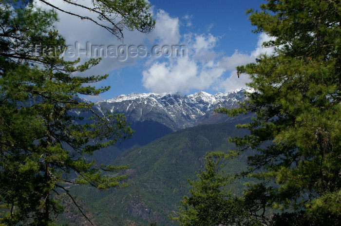 bhutan125: Bhutan - Paro dzongkhag - Himalaya peaks, seen from the way up to Taktshang Goemba - photo by A.Ferrari - (c) Travel-Images.com - Stock Photography agency - Image Bank