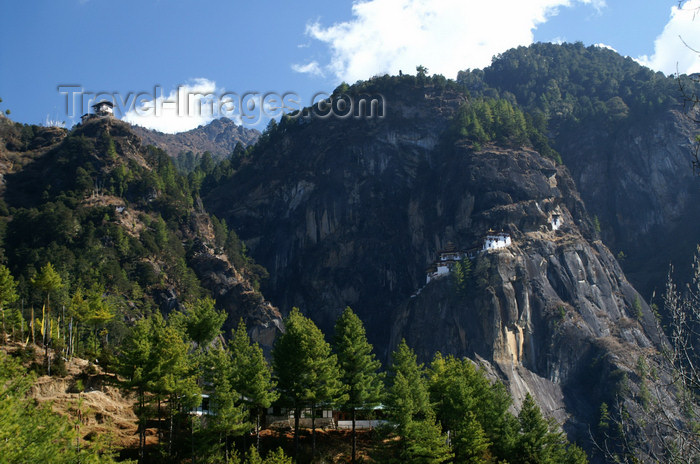 bhutan126: Bhutan - Paro dzongkhag - forest - great view on the way up to Taktshang Goemba - photo by A.Ferrari - (c) Travel-Images.com - Stock Photography agency - Image Bank