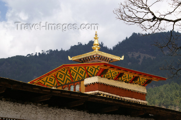 bhutan13: Bhutan - Bumthang valley - shiny roof of Tamshing Goemba monastery - photo by A.Ferrari - (c) Travel-Images.com - Stock Photography agency - Image Bank