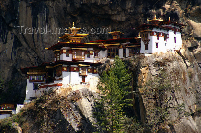 bhutan130: Bhutan - Paro dzongkhag - Taktshang Goemba - hangs on a cliff at 3,120 metres - photo by A.Ferrari - (c) Travel-Images.com - Stock Photography agency - Image Bank