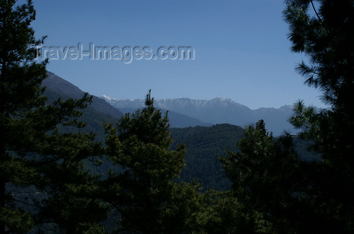 bhutan151: Bhutan - Pine trees and mountain landscape, on the road to the Haa valley - photo by A.Ferrari - (c) Travel-Images.com - Stock Photography agency - Image Bank