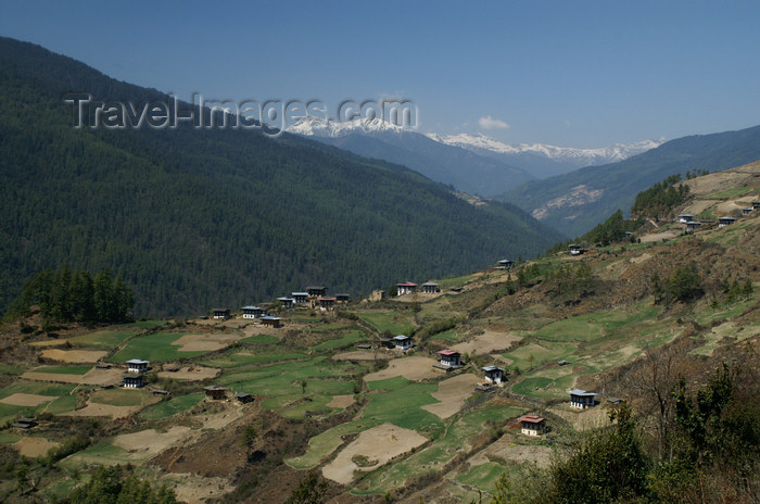 bhutan153: Bhutan - Houses and fields, in the Haa valley - photo by A.Ferrari - (c) Travel-Images.com - Stock Photography agency - Image Bank