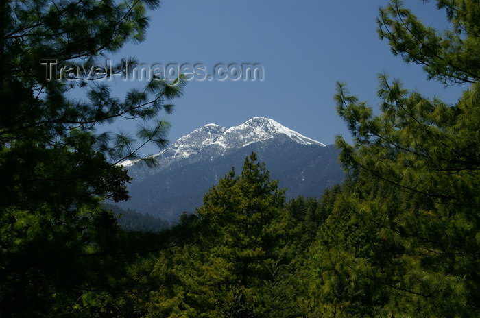 bhutan155: Bhutan - trees and Himalaya peaks, seen from the Haa valley - photo by A.Ferrari - (c) Travel-Images.com - Stock Photography agency - Image Bank