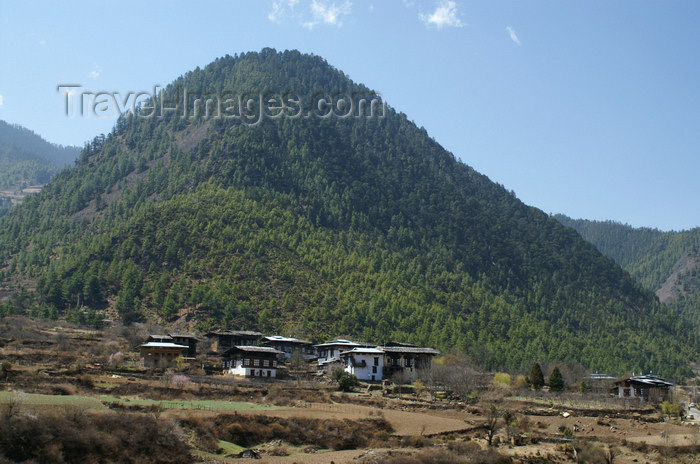 bhutan158: Bhutan - large hill, near Haa - photo by A.Ferrari - (c) Travel-Images.com - Stock Photography agency - Image Bank