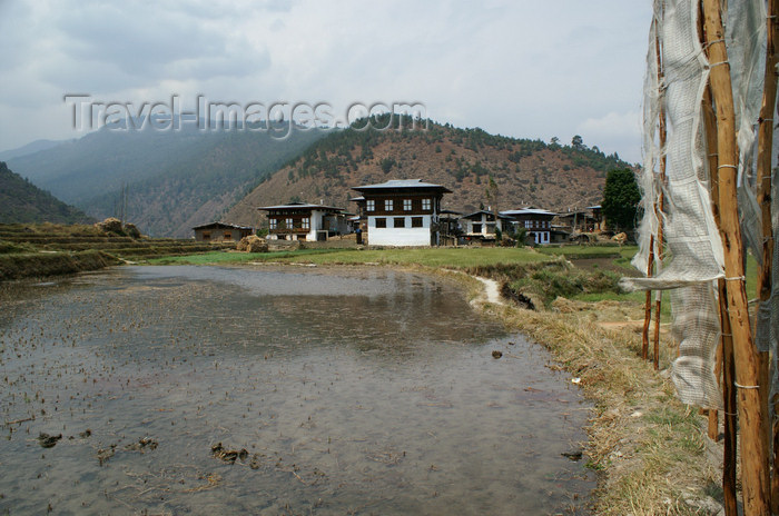 bhutan256: Bhutan - rice fields and Bhutanese houses, on the way to Chimi Lhakhang - photo by A.Ferrari - (c) Travel-Images.com - Stock Photography agency - Image Bank