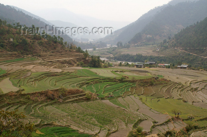 bhutan284: Bhutan - terraced fields - landscape on the way to Khansum Yuelley Namgyal Chorten - photo by A.Ferrari - (c) Travel-Images.com - Stock Photography agency - Image Bank