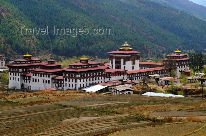 bhutan33: Bhutan - Thimphu - rice paddies and Trashi Chhoe Dzong - photo by A.Ferrari - (c) Travel-Images.com - Stock Photography agency - Image Bank