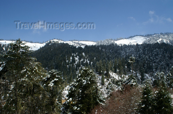 bhutan389: Bhutan - Ura valley, Bumthang District - winter landscape - photo by A.Ferrari - (c) Travel-Images.com - Stock Photography agency - Image Bank