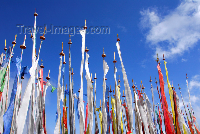 bhutan402: Bhutan, Cheli La pass, near Paro: prayer flags - photo by J.Pemberton - (c) Travel-Images.com - Stock Photography agency - Image Bank