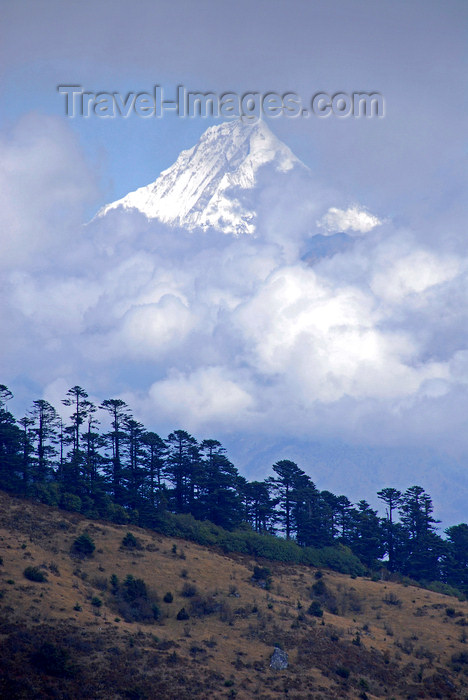 bhutan407: Bhutan, Paro, View of mountain from road to Cheli La pass - photo by J.Pemberton - (c) Travel-Images.com - Stock Photography agency - Image Bank