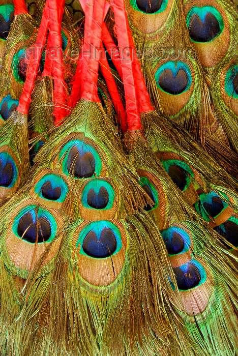 bhutan423: Bhutan, Thimphu, Ceremonial Peacock fans - photo by J.Pemberton - (c) Travel-Images.com - Stock Photography agency - Image Bank