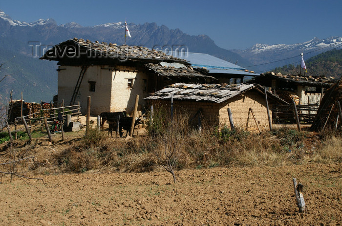 bhutan59: Bhutan - Paro dzongkhag: a Bhutanese farm, near Paro - photo by A.Ferrari - (c) Travel-Images.com - Stock Photography agency - Image Bank