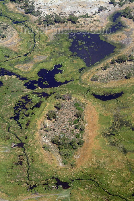 botswana14: Okavango delta, North-West District, Botswana: from the air - swamp in the Kalahari Desert - endorheic basin - Okavango Alluvial Fan - photo by J.Banks - (c) Travel-Images.com - Stock Photography agency - Image Bank