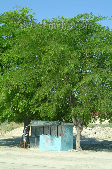 botswana31: Maun, North-West District, Botswana: phone box, Botswana style - metal hut under the tree shade - photo by J.Banks - (c) Travel-Images.com - Stock Photography agency - Image Bank