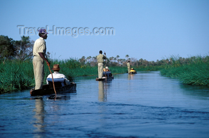 botswana60: Okavango delta, North-West District, Botswana: Mokoros, boats made of hollowed out logs, are a wonderful way to explore the world's largest inland delta - punting - photo by C.Lovell - (c) Travel-Images.com - Stock Photography agency - Image Bank