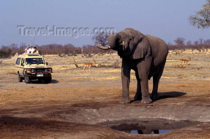 botswana82: Chobe National Park, North-West District, Botswana: a bull elephant drinks from a manmade watering hole in the Savuti Marsh - Toyota 4wd with photo safari tourists in the background - photo by C.Lovell - (c) Travel-Images.com - Stock Photography agency - Image Bank