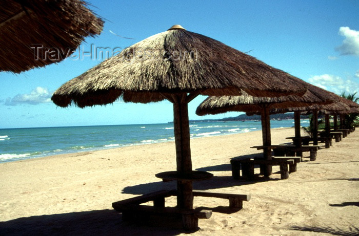 brazil111: Brazil / Brasil - Maragoji / Maragogi (Alagoas): parasols on the beach / parasois na praia - photo by F.Rigaud - (c) Travel-Images.com - Stock Photography agency - Image Bank