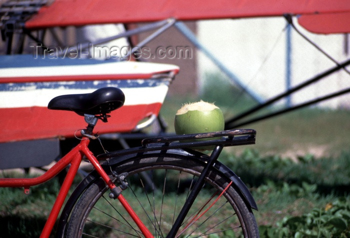 brazil112: Brazil / Brasil - Maragoji (Alagoas): bike with coconut / bicicleta com coco - photo by F.Rigaud - (c) Travel-Images.com - Stock Photography agency - Image Bank