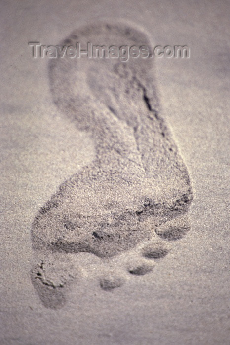 brazil114: Maragoji, Alagoas, Brazil / Brasil: footprint in the sand / pegada na areia da praia - photo by F.Rigaud - (c) Travel-Images.com - Stock Photography agency - Image Bank