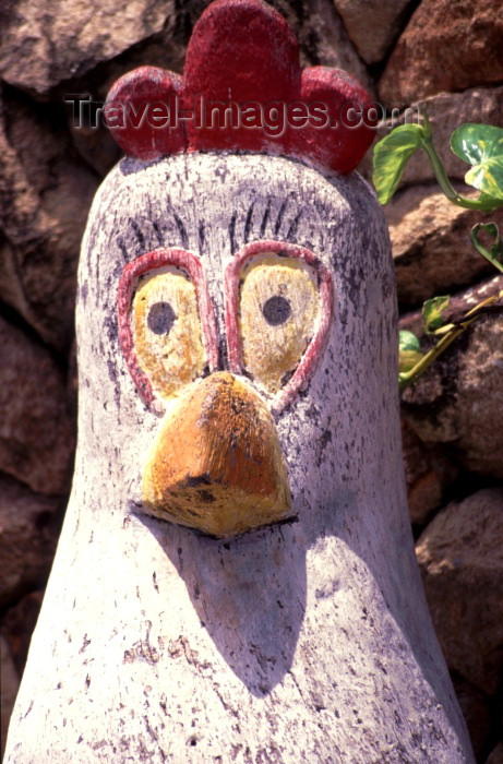 brazil120: Brazil / Brasil - Porto de Galinhas, Ipojuca, Pernambuco: chicken / galinha - photo by F.Rigaud - (c) Travel-Images.com - Stock Photography agency - Image Bank