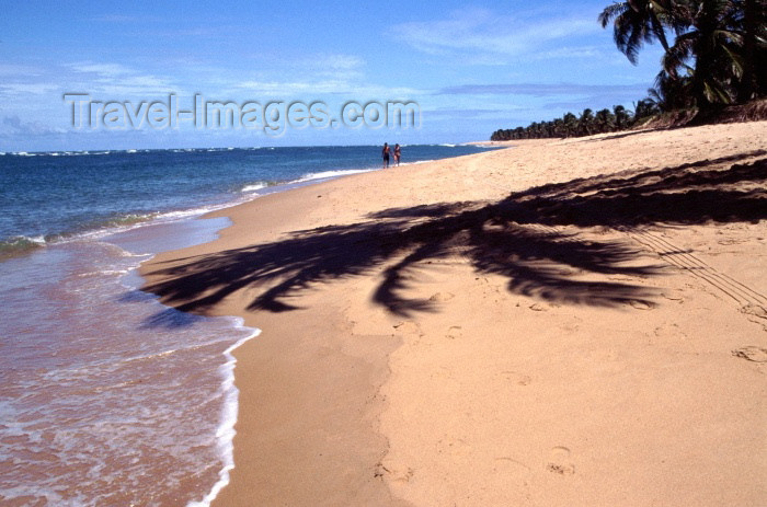 brazil125: Roteiro, Alagoas, Brazil / Brasil - Gunga beach / Praia do Gunga - photo by F.Rigaud - (c) Travel-Images.com - Stock Photography agency - Image Bank