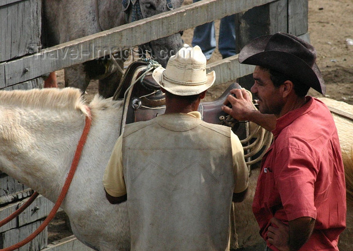 brazil163: Brazil / Brasil - Cachoeira (Bahia): cowboys / vaqueiros - photo by N.Cabana - (c) Travel-Images.com - Stock Photography agency - Image Bank