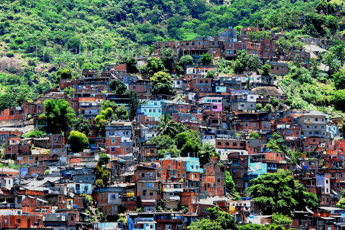 brazil415: Rio de Janeiro, Brazil: Turano favela | Favela do Turano - photo by L.Moraes - (c) Travel-Images.com - Stock Photography agency - Image Bank