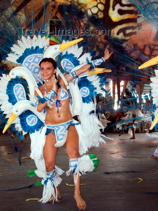 brazil440: Parintins, Amazonas, Brasil / Brazil: indian dancer - Boi-Bumbá folklore festival - Boi Caprichoso troupe / Festival Folclórico de Parintins - Bumba Meu Boi - photo by D.Smith - (c) Travel-Images.com - Stock Photography agency - Image Bank