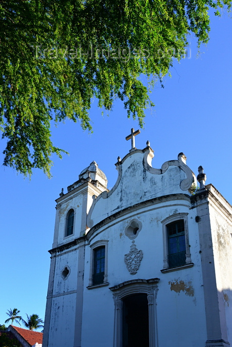 brazil519: Olinda, Pernambuco, Brazil: facade of the Church of St Peter the apostle - seen from under a tree on Conselheiro João Alfredo square, Carmo - Igreja de São Pedro Apóstolo - photo by M.Torres - (c) Travel-Images.com - Stock Photography agency - Image Bank