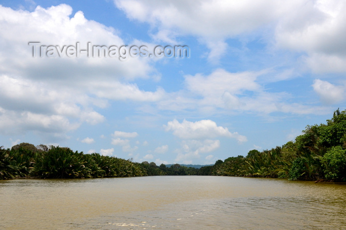 brunei112: Limbang river, Brunei Darussalam: waterway linking the capital (Bandar)  to Bangar in the Temburong exclave, through Sarawk in Malaysia - photo by M.Torres - (c) Travel-Images.com - Stock Photography agency - Image Bank