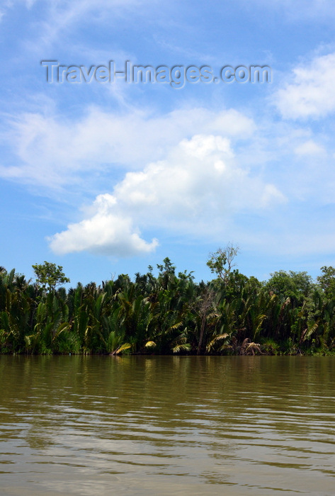 brunei113: Temburong District, Brunei Darussalam: dense tropical forest along the banks of the Temburong river - photo by M.Torres - (c) Travel-Images.com - Stock Photography agency - Image Bank