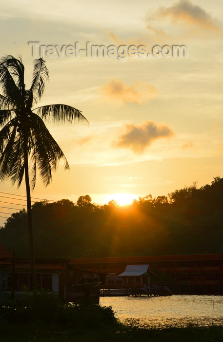 brunei150: Bandar Seri Begawan, Brunei Darussalam: coconut tree and sunset over the forest - Kampong Pg. Kerma Indra Lama water village - photo by M.Torres - (c) Travel-Images.com - Stock Photography agency - Image Bank