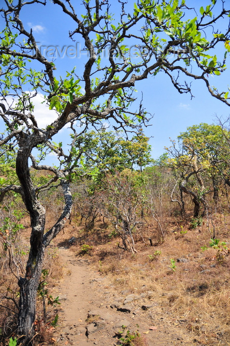 burundi74: Kagera Falls / Chutes de la Karera, Rutana province, Burundi:  trekking on the Nkoma massif - African landscape - photo by M.Torres - (c) Travel-Images.com - Stock Photography agency - Image Bank